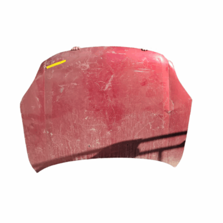 COFRE FORD FIESTA 07-10